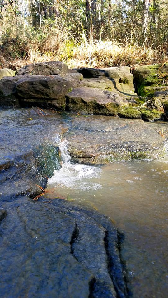 Kisatchie Bayou Campground (Primitive) Explore Alexandria Pineville
