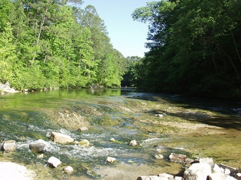 Kisatchie National Forest - Explore Alexandria Pineville Louisiana